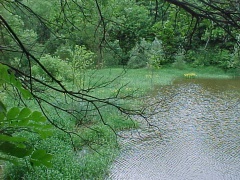 Vogellehrpfad Impressionen 011.jpg