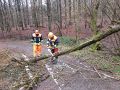 Vorschaubild der Version vom 10. Februar 2019, 20:50 Uhr