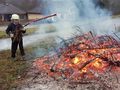 Vorschaubild der Version vom 14. Januar 2019, 19:48 Uhr