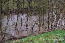 Hochwasser 2016 (1).JPG