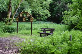 Natur-Vogellehrpfad 25.05.2018.jpg