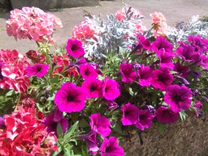 Blumenkübel am Brunnen