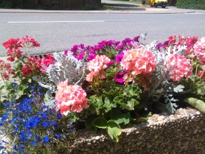 Blumenkübel am Brunnen