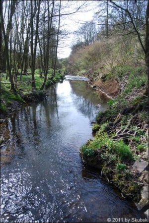 Die Oster, Foto: Natascha Skubski