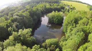 Weiher am Martinshof.jpg